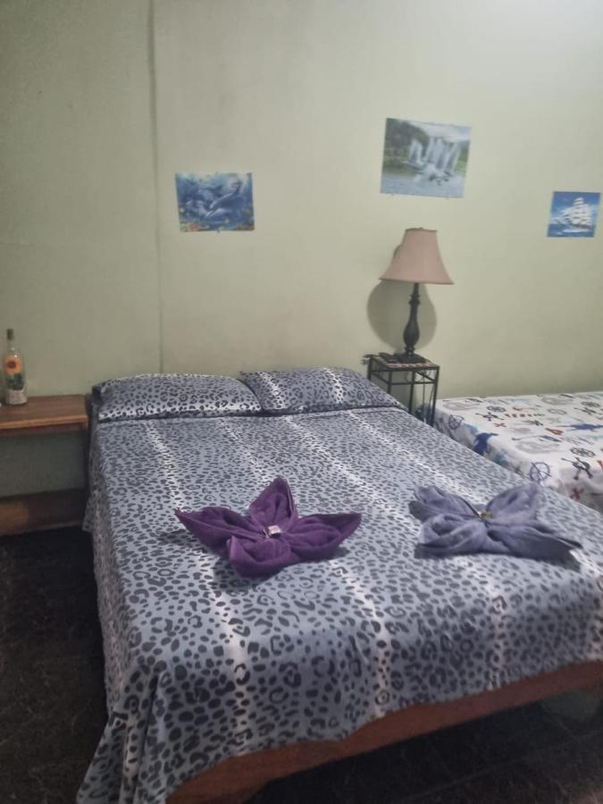 Hotel Paradise Alajuela Río Segundo エクステリア 写真