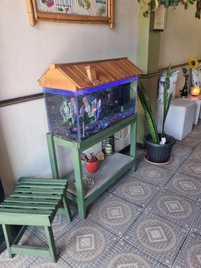 Hotel Paradise Alajuela Río Segundo エクステリア 写真